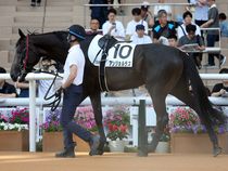 ����å��ǳ��������ɽ�����ޤ�