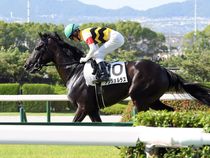 ����å��ǳ��������ɽ�����ޤ�