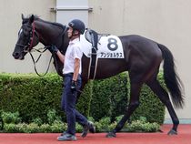 ����å��ǳ��������ɽ�����ޤ�