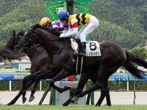 ����å��ǳ��������ɽ�����ޤ�