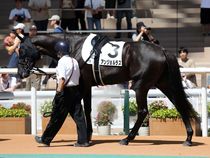 ����å��ǳ��������ɽ�����ޤ�