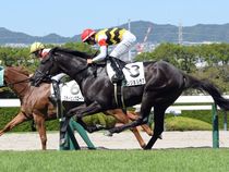 ����å��ǳ��������ɽ�����ޤ�