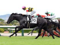 ����å��ǳ��������ɽ�����ޤ�