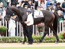 ����å��ǳ��������ɽ�����ޤ�