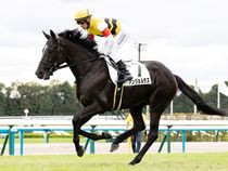 ����å��ǳ��������ɽ�����ޤ�