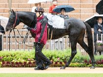 ����å��ǳ��������ɽ�����ޤ�