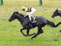 ����å��ǳ��������ɽ�����ޤ�