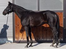 ����å��ǳ��������ɽ�����ޤ�