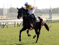 ����å��ǳ��������ɽ�����ޤ�