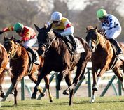 ����å��ǳ��������ɽ�����ޤ�