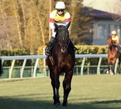 ����å��ǳ��������ɽ�����ޤ�