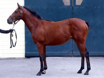 ����å��ǳ��������ɽ�����ޤ�