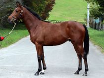 ����å��ǳ��������ɽ�����ޤ�