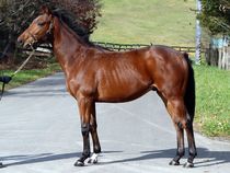 ����å��ǳ��������ɽ�����ޤ�