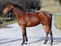 ����å��ǳ��������ɽ�����ޤ�