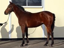 ����å��ǳ��������ɽ�����ޤ�