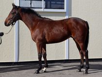 ����å��ǳ��������ɽ�����ޤ�