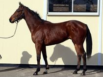 ����å��ǳ��������ɽ�����ޤ�