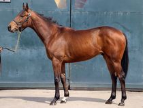 ����å��ǳ��������ɽ�����ޤ�