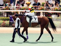 ����å��ǳ��������ɽ�����ޤ�