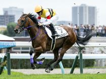 ����å��ǳ��������ɽ�����ޤ�