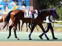 ����å��ǳ��������ɽ�����ޤ�