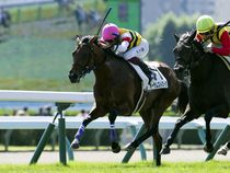 ����å��ǳ��������ɽ�����ޤ�