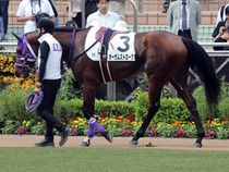 ����å��ǳ��������ɽ�����ޤ�