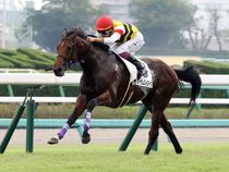 ����å��ǳ��������ɽ�����ޤ�