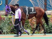 ����å��ǳ��������ɽ�����ޤ�