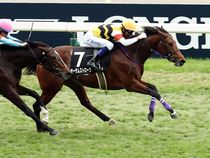 ����å��ǳ��������ɽ�����ޤ�