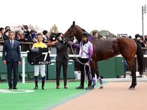 ����å��ǳ��������ɽ�����ޤ�