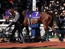 ����å��ǳ��������ɽ�����ޤ�