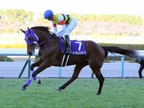 ����å��ǳ��������ɽ�����ޤ�