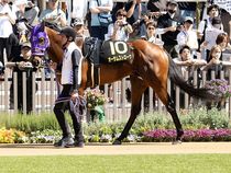 ����å��ǳ��������ɽ�����ޤ�