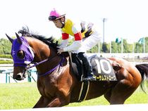 ����å��ǳ��������ɽ�����ޤ�