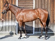 ����å��ǳ��������ɽ�����ޤ�