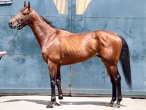 ����å��ǳ��������ɽ�����ޤ�