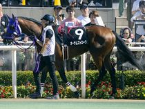 ����å��ǳ��������ɽ�����ޤ�