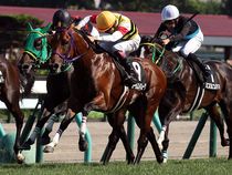 ����å��ǳ��������ɽ�����ޤ�