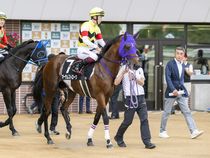 ����å��ǳ��������ɽ�����ޤ�