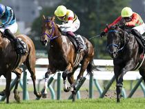 ����å��ǳ��������ɽ�����ޤ�