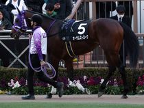 ����å��ǳ��������ɽ�����ޤ�