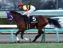 ����å��ǳ��������ɽ�����ޤ�