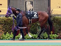 ����å��ǳ��������ɽ�����ޤ�