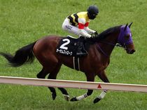 ����å��ǳ��������ɽ�����ޤ�