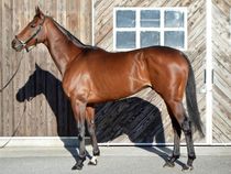 ����å��ǳ��������ɽ�����ޤ�