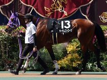 ����å��ǳ��������ɽ�����ޤ�