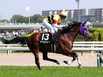 ����å��ǳ��������ɽ�����ޤ�