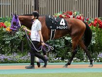 ����å��ǳ��������ɽ�����ޤ�